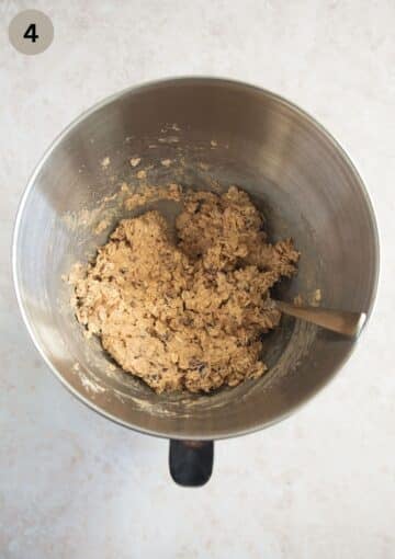Folding oats, cranberries, and walnuts into muesli cookie dough
