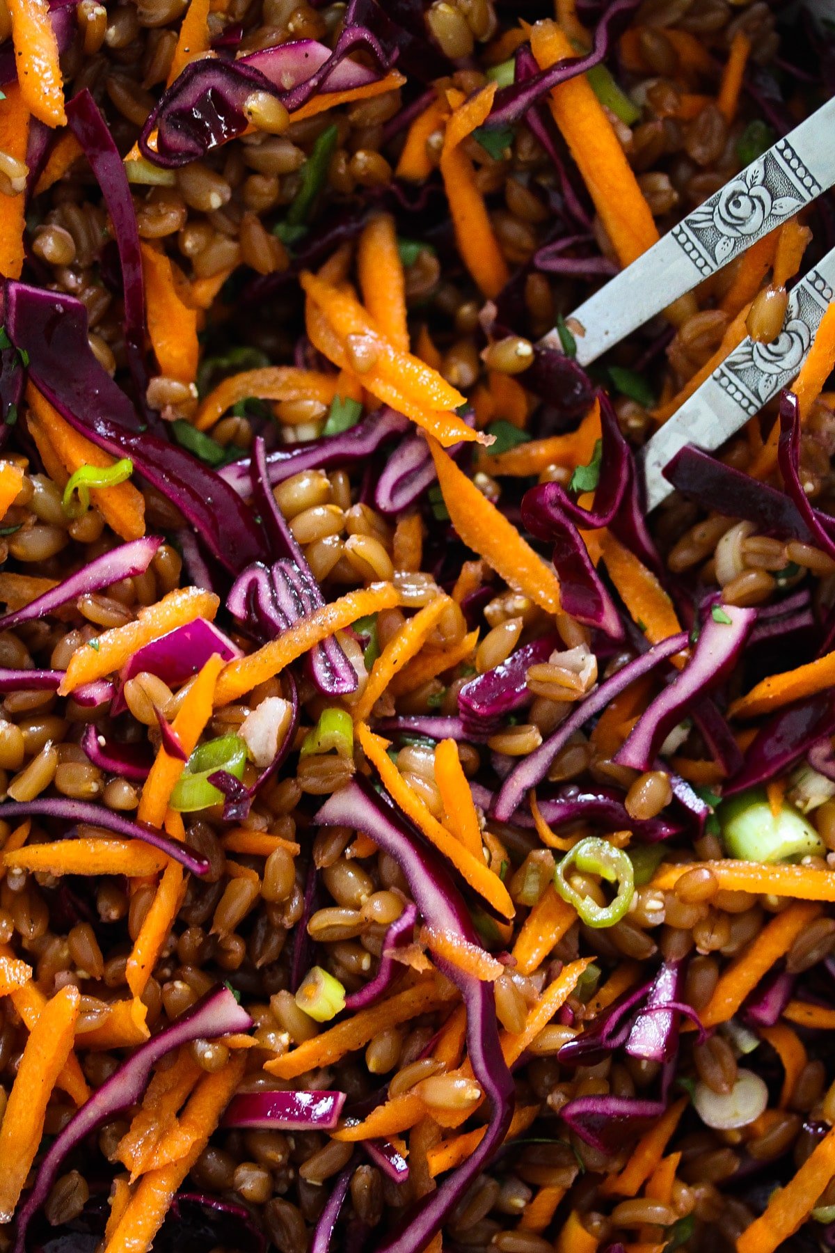 spelt berry salad with raw vegetables close up