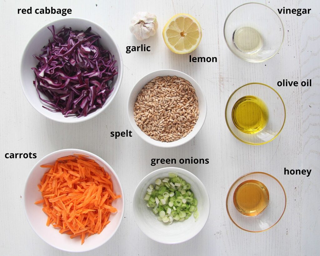 ingredients for salad and dressing