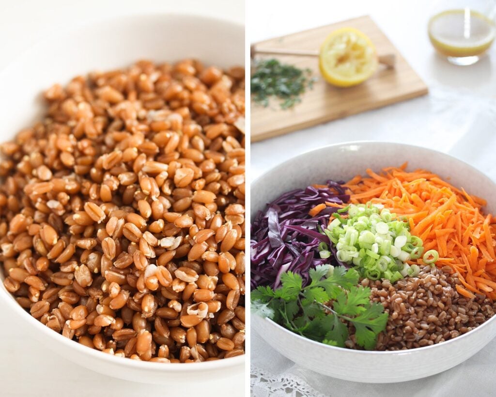 bowl of cooked spelt berries and vegetables