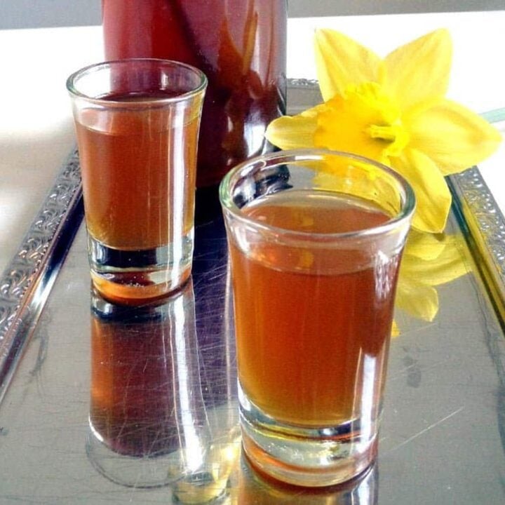 two shot glasses with honey liqueur and a yellow daffodil