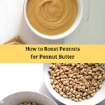 roasted peanuts and a bowl of peanut butter