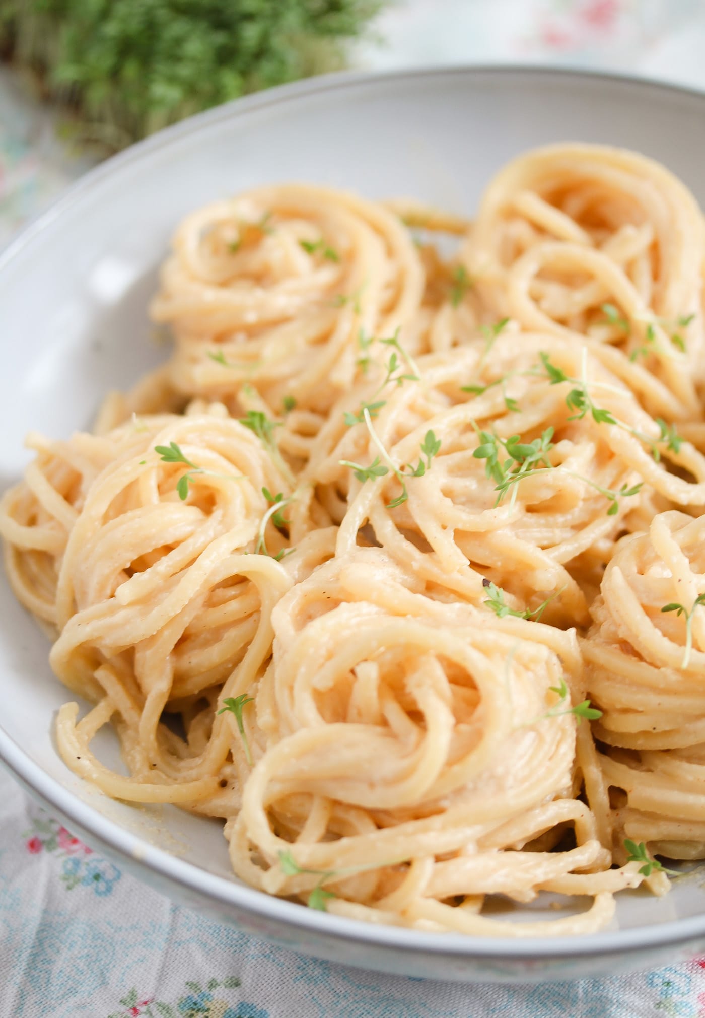 vegan cauliflower sauce with nutritional yeast served with spaghetti