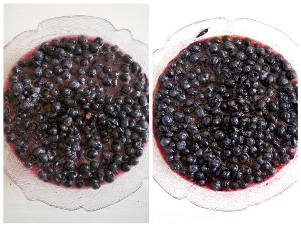 preparing blueberries for preserving
