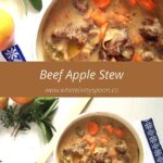 dutch oven stew with meat and vegetables