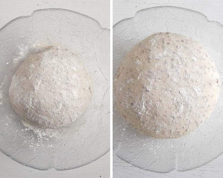 flaxseed bread before and after rising