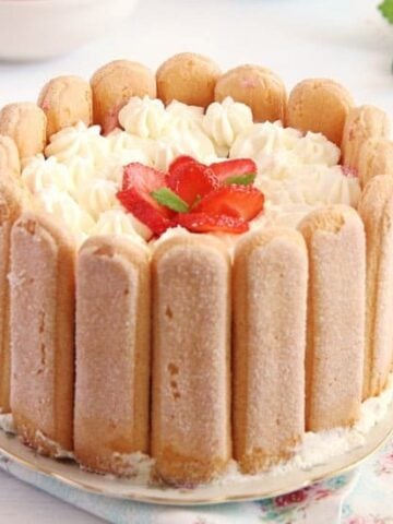 cake surrounded by ladyfingers and topped with cream