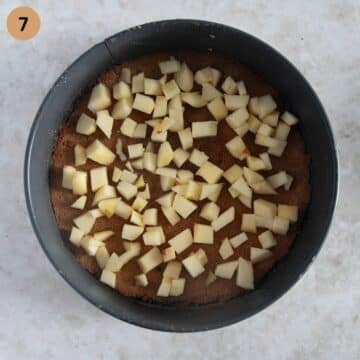placing chopped apples on a baked cheesecake crust in a springform.