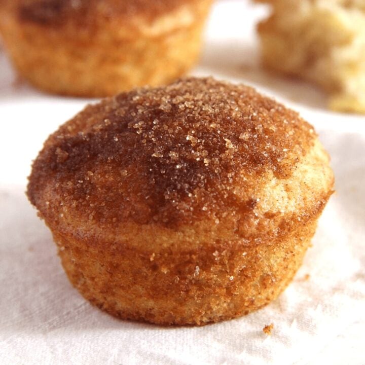 Cinnamon Muffin Recipe (Donut Muffins)