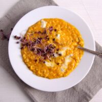 risotto with pumpkin and gorgonzola cheese ready to be served