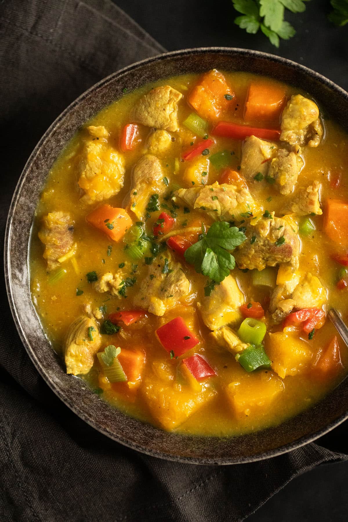 turkey coconut curry with pumpkin and green onions in a bowl.