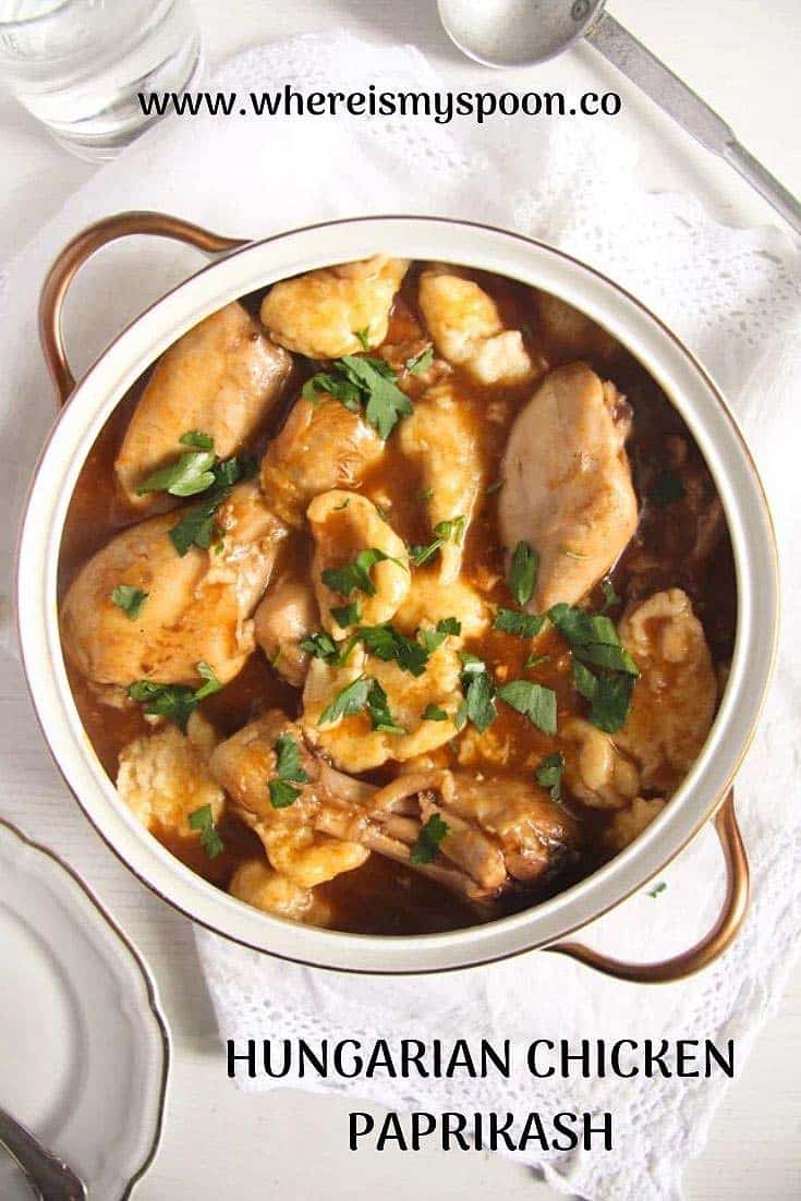 large pot with chicken paprikash with dumplings