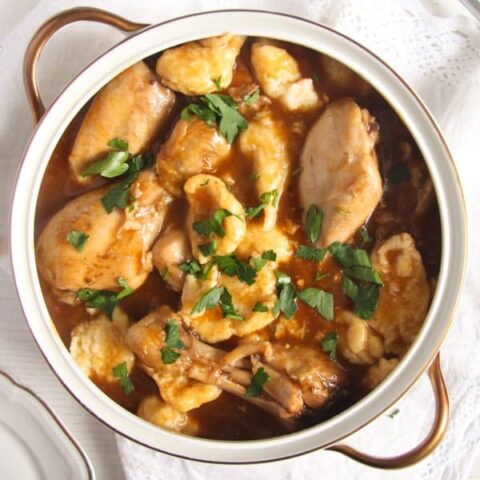 pot of hungarian chicken paprikash with dumplings