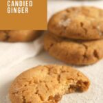 ginger snaps with candied ginger