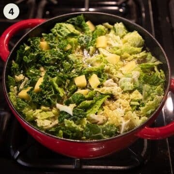 adding chopped savoy cabbage and stock to a pot to make soup.