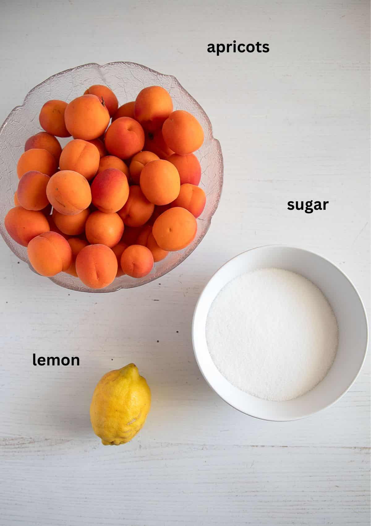 labeled ingredients for making apricot jam: apricots, sugar, and lemon.