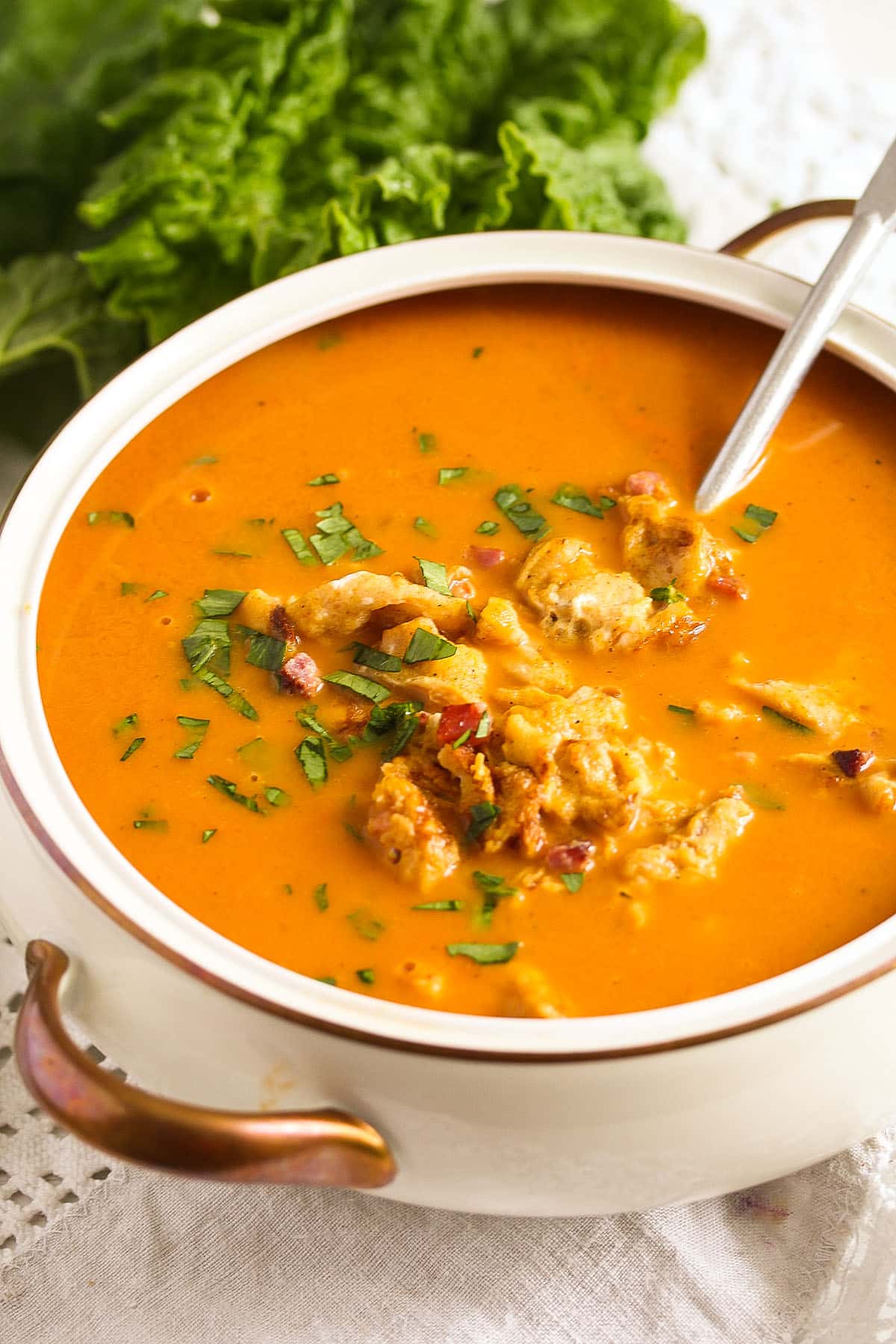 bowl of soup made with rhubarb and tomatoes and serve with omelet.