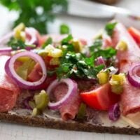 open sandwich with salami, red onions and tomatoes