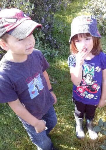 a boy and a girl in a blueberry field.