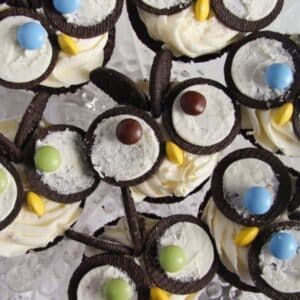 many owl cupcakes with large and cute eyes made with oreos.