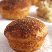 muffins with apples and spices