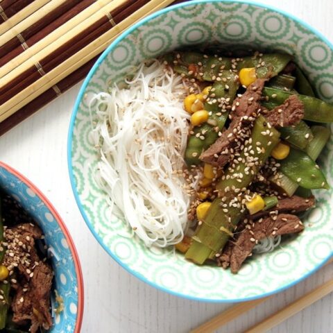 Rice Noodle Beef with Green Onions
