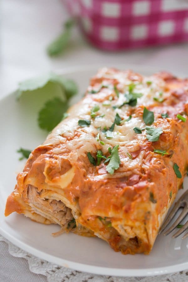 sour cream chicken enchiladas close up