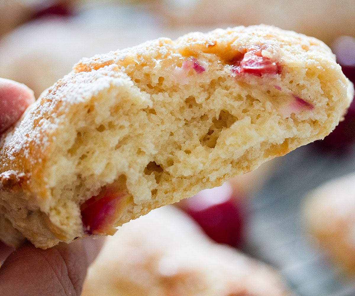 hand holding half of a cherry scone showing the crumb.
