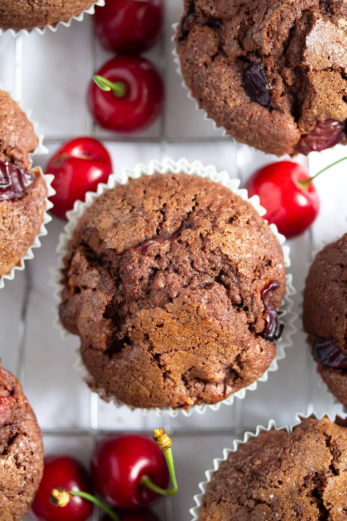 chocolate cherry muffins and some fresh cherries around them.
