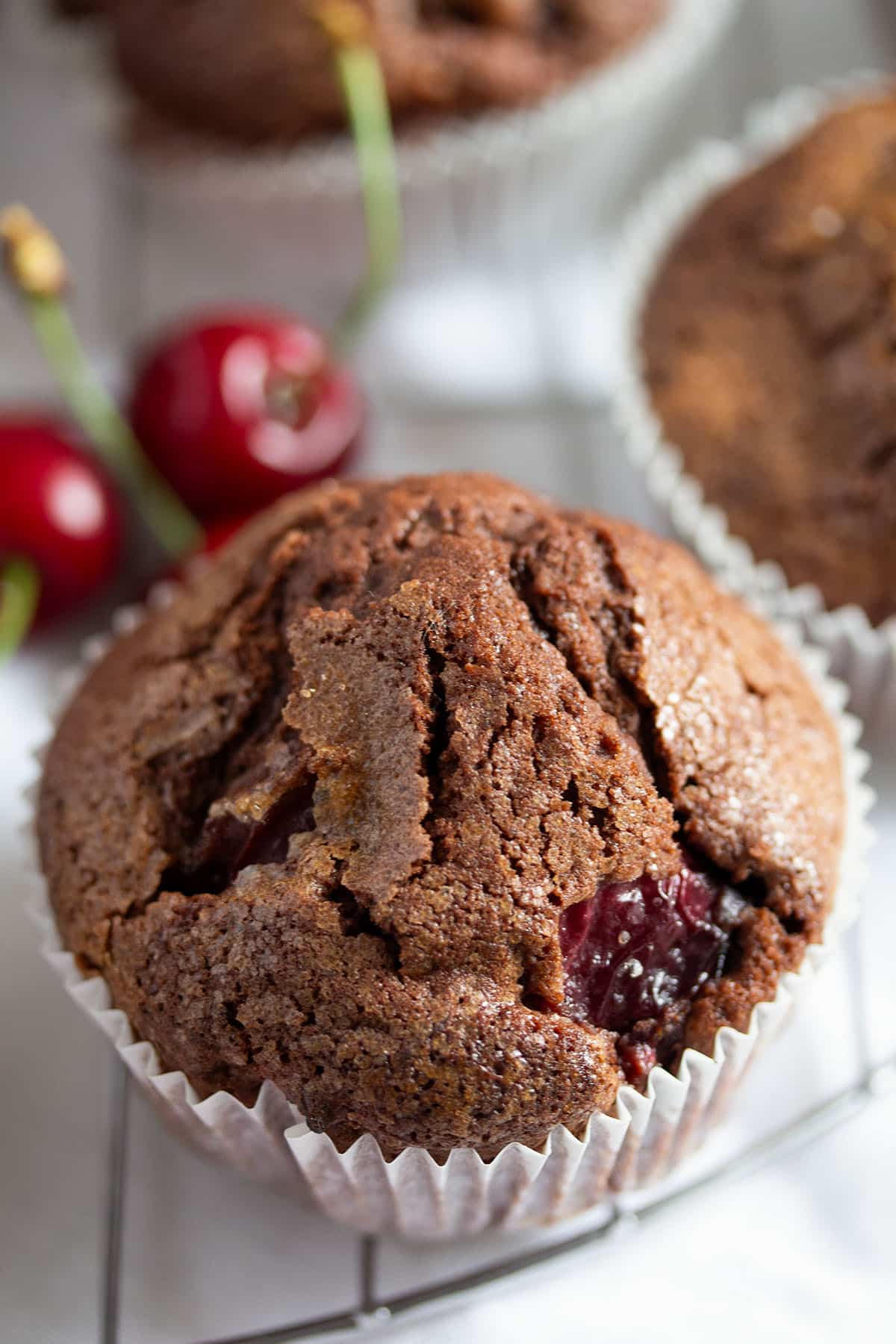 one chocolate cherry muffin and two fresh cherries on a wire rack