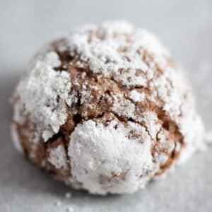 almond chocolate cookie tossed in confectioners sugar.