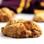 one of hagrid's rock cakes with dried fruit.