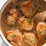 mushroom gravy and chicken sprinkled with parsley.