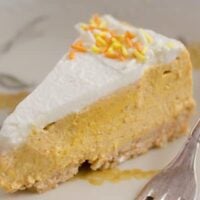 no bake pumpkin cheesecake with gingersnap crust
