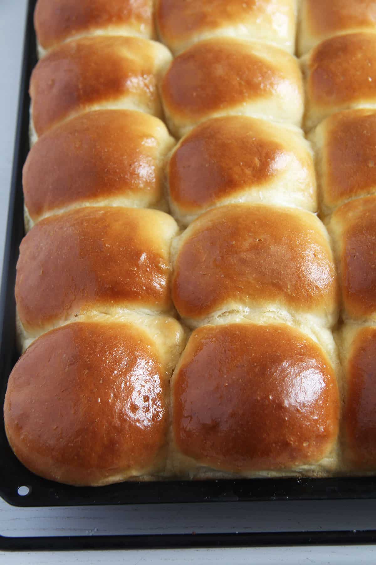 golden homemade rolls made from scratch.