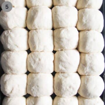 many raw yeast rolls on a tray before baking.