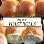 pinterest image with the title the best yeast rolls.