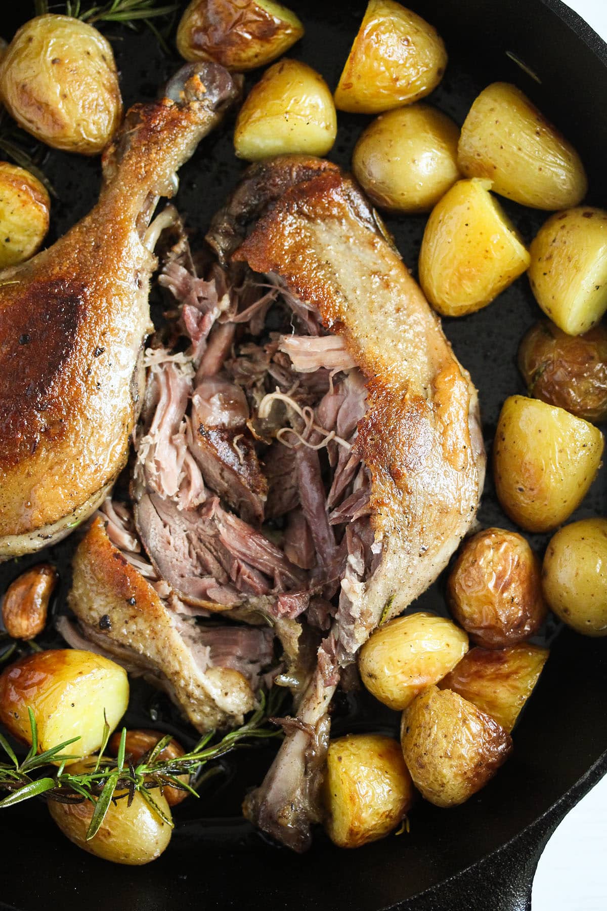 one torn confit duck leg to show the tender flesh and roast potatoes around it.