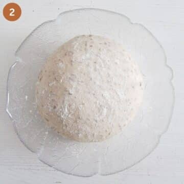 bread dough sprinkled with flour in a bowl after rising.