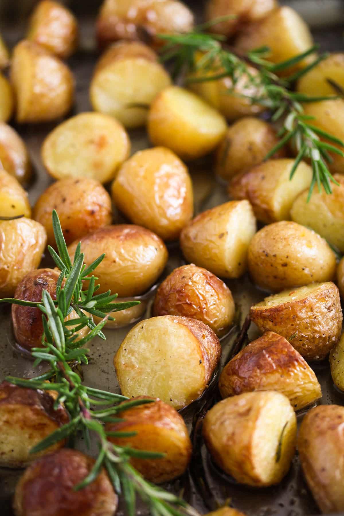 many fingerling confit potatoes and sprigs of rosemary.