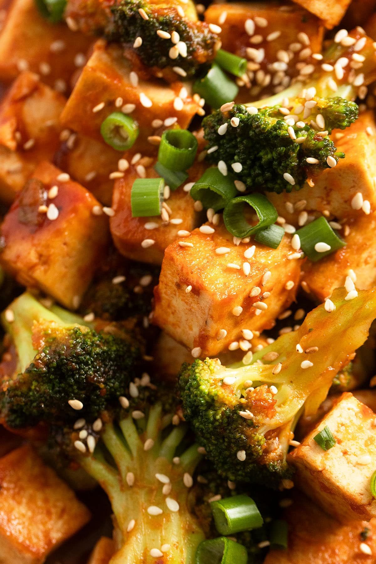 close up of broccoli and tofu covered with sauce and sprinkled with sesame seeds.