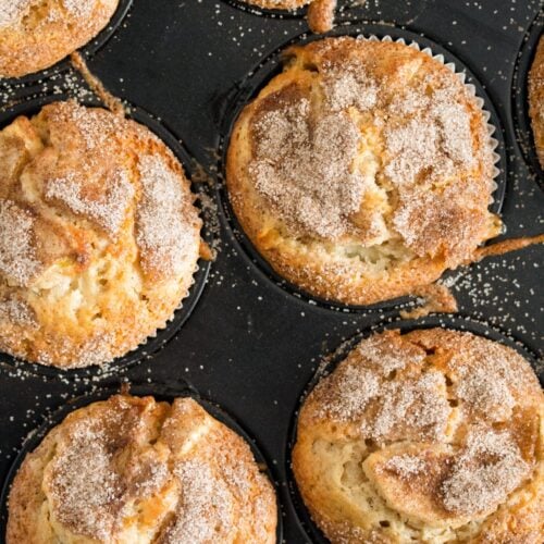 Fresh Plum & Oat Muffins - Around My Family Table