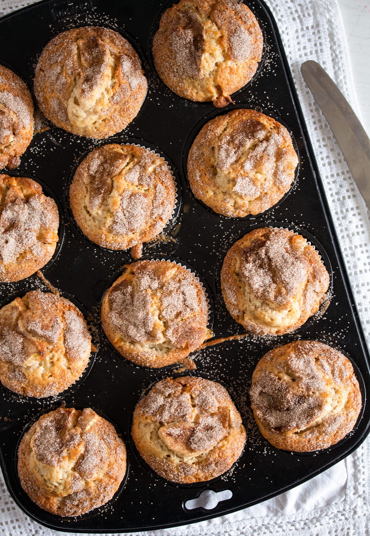 twelve apple muffins baked with oil in a muffin tin.