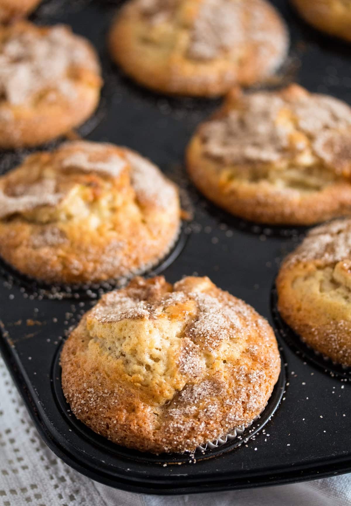 fluffy round apple cinnamon muffins made with oil in a muffin tray.