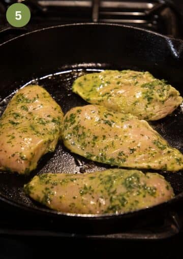 four chicken breasts marinated with parsley searing in a cast iron pan.