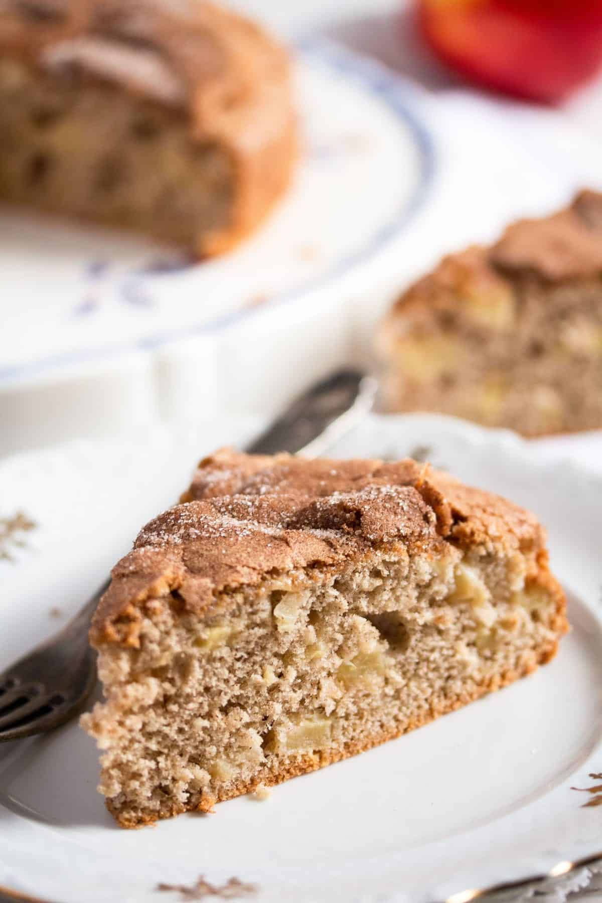 dense slice of cake spiked with chunks of apples.