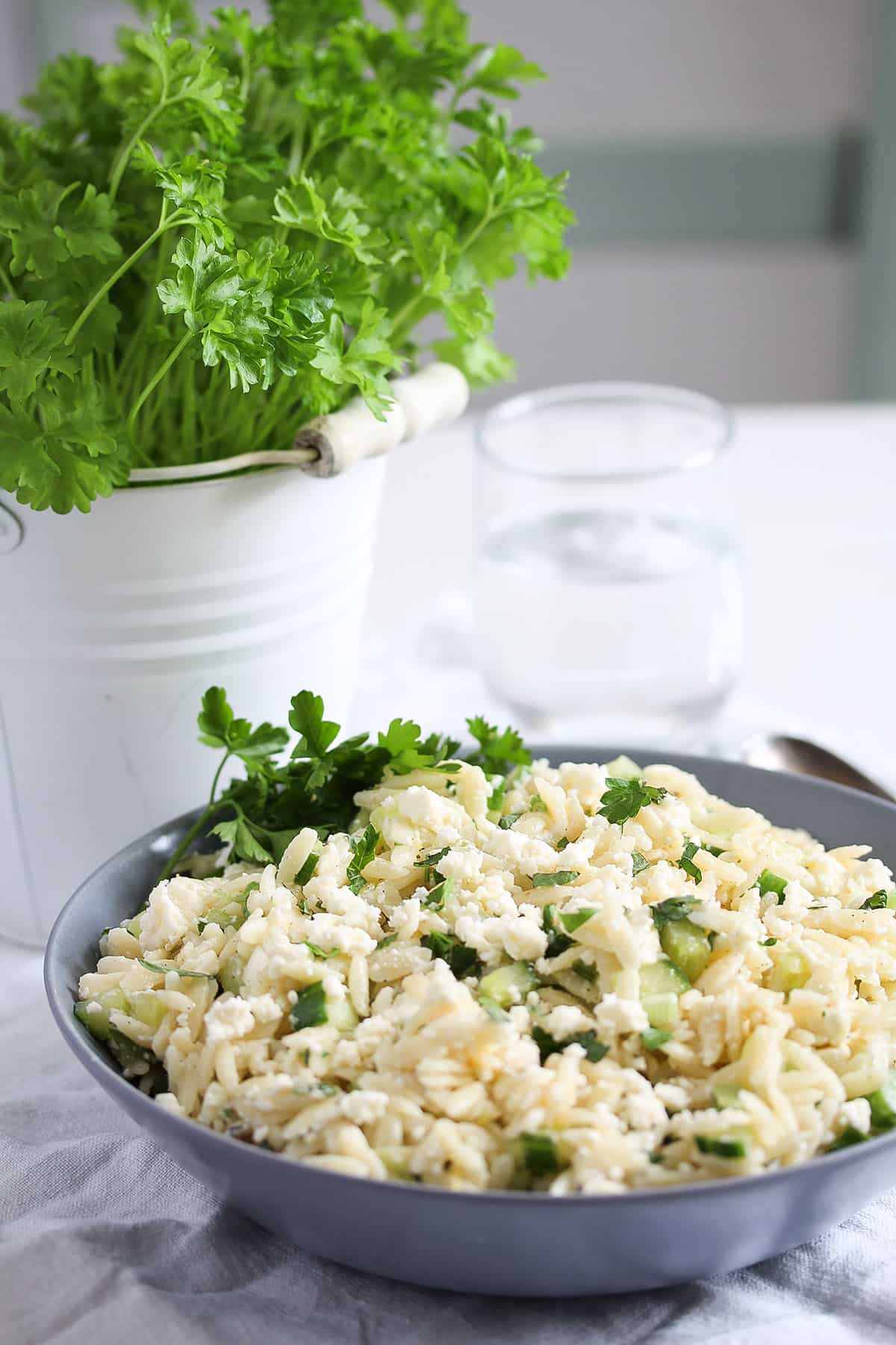 a bowl of orzo salad and a parsley plant in a small bucket. 