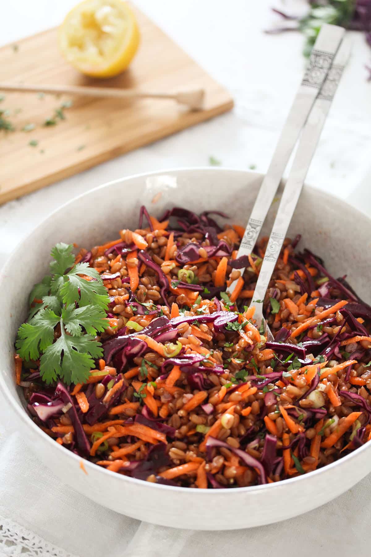 bowl with salad with spelt berries, red cabbage, and carrots.