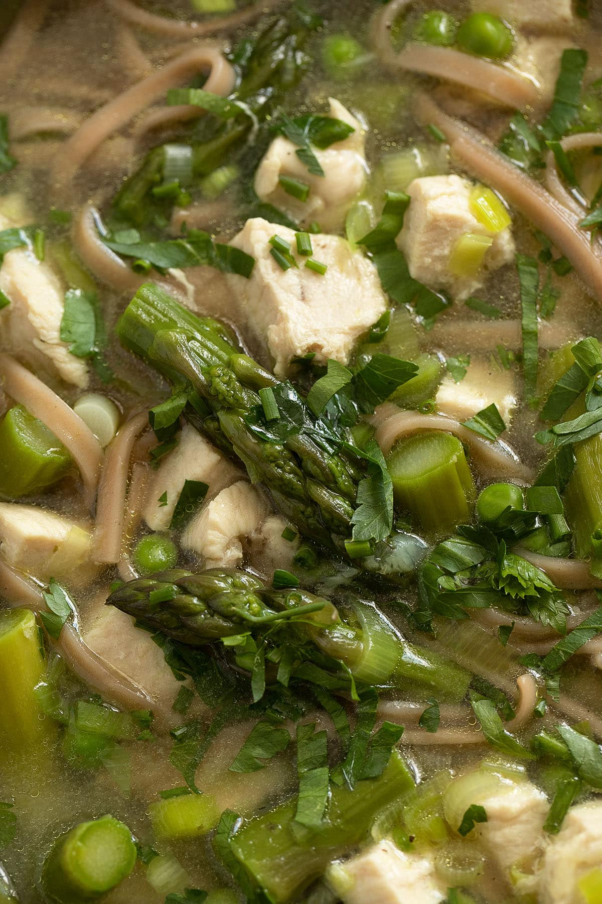 close up of asparagus tips and chicken breast pieces floating in noodle soup.