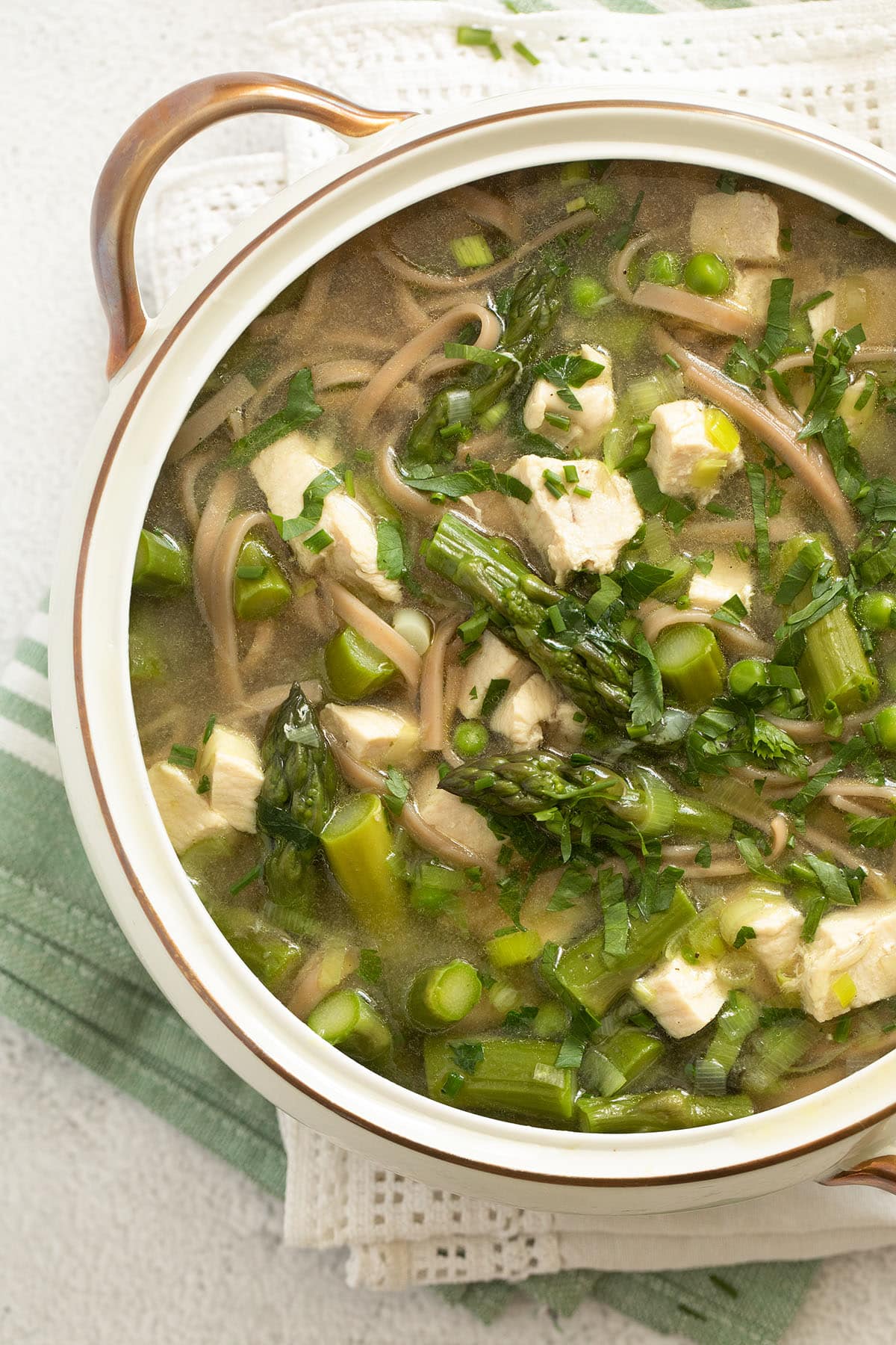 close up of a vintage bowl with asparagus soup with chicken and noodles.